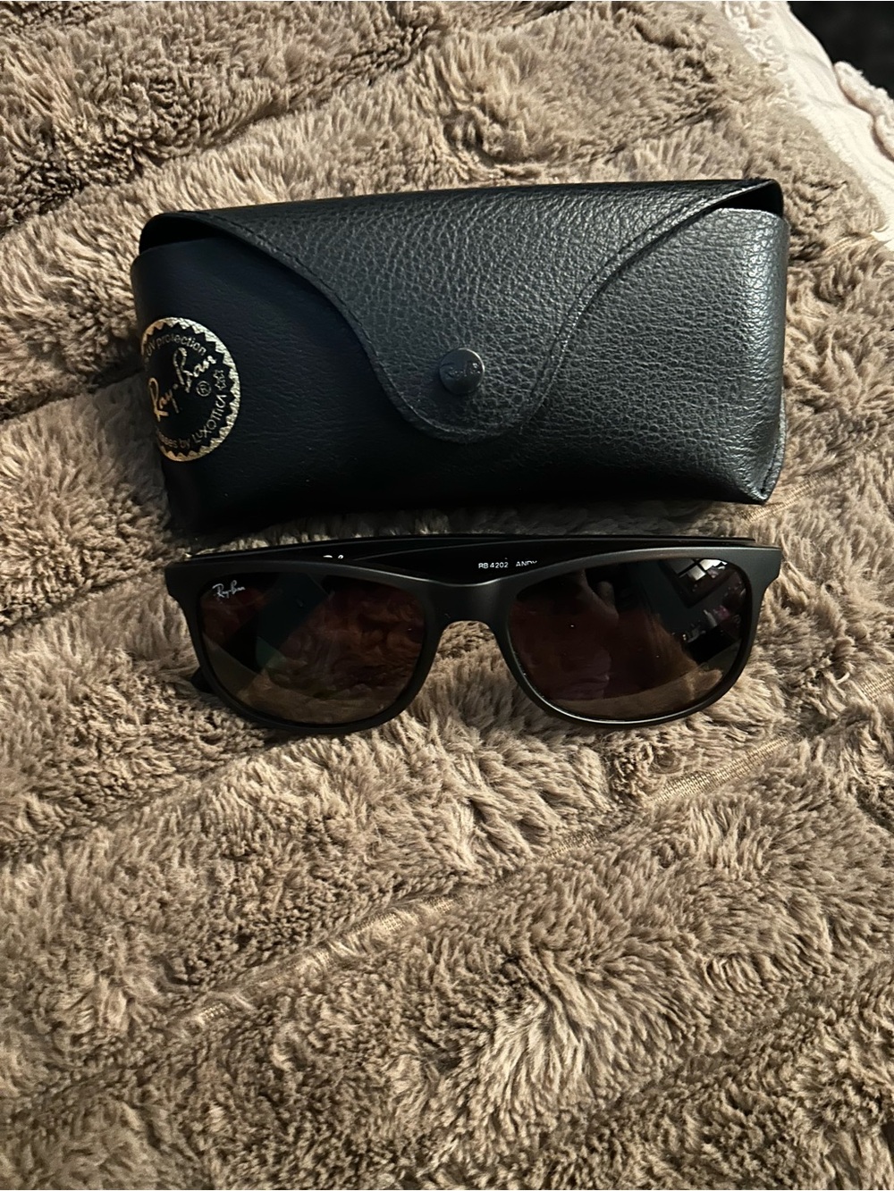 Ray-Ban Men's Black Sunglasses with Black Case and Brown Lenses